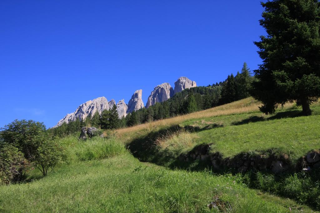 Chalet Pian Campitello di Fassa Luaran gambar